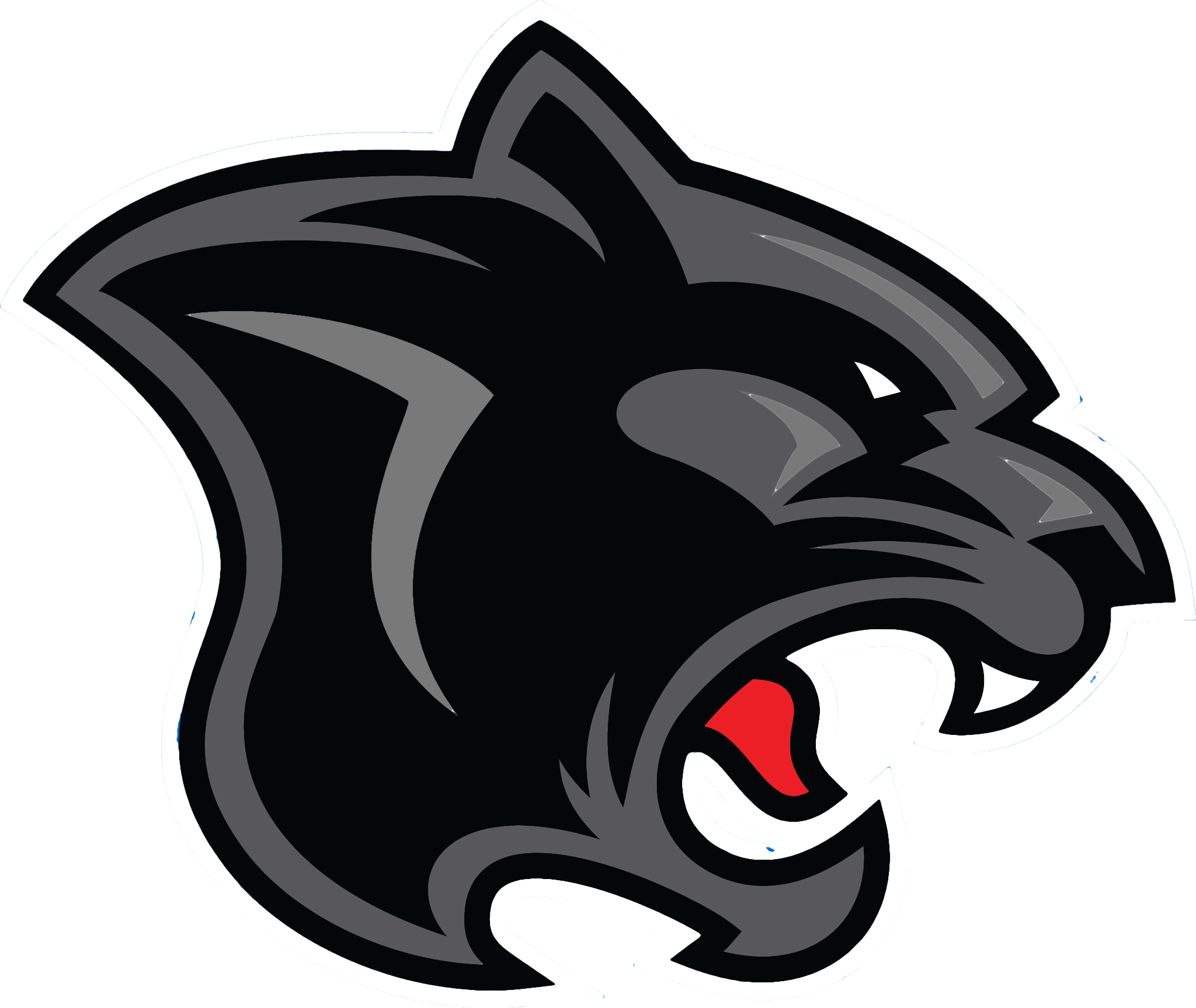 Free Panther PNG Transparent Images, Download Free Panther PNG