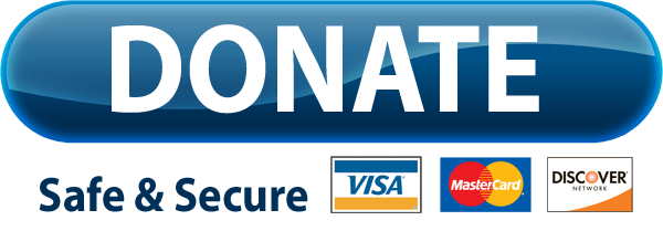 PayPal Donate Button Free Download PNG 