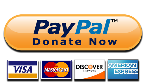 PayPal Donate Button High-Quality PNG 