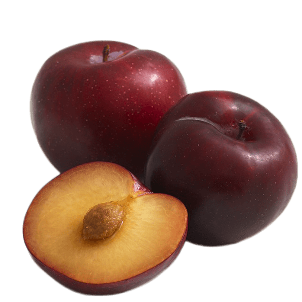 indian plum png - Clip Art Library