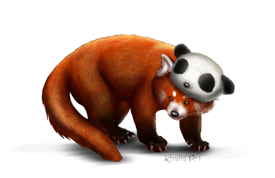 Red Panda PNG Picture 