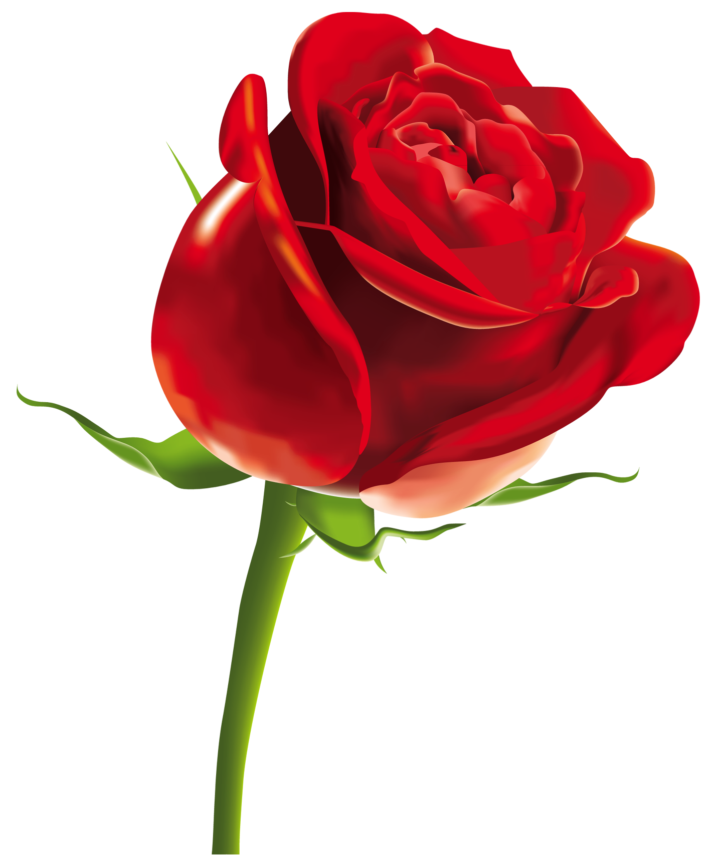 rose flower vector png - Clip Art Library