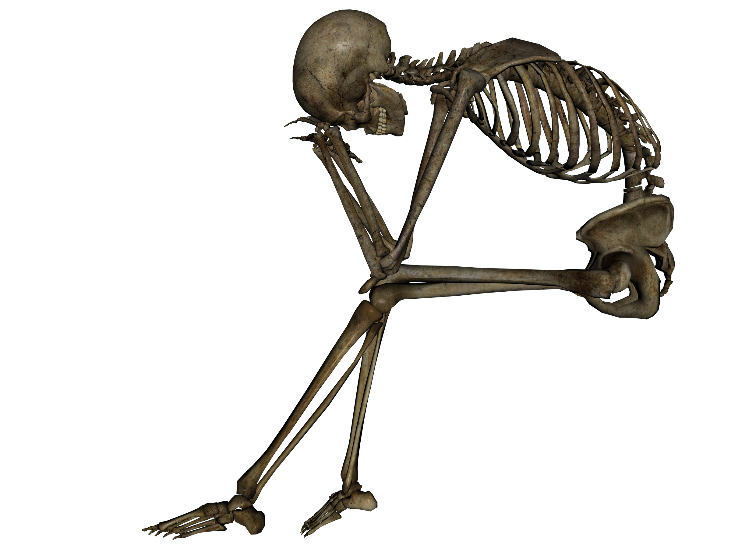 Skeleton PNG Picture 