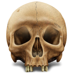 Skull PNG Picture 