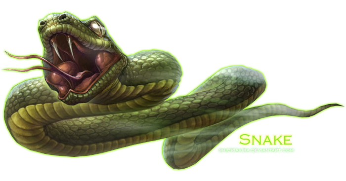 snake clipart png - photo #41