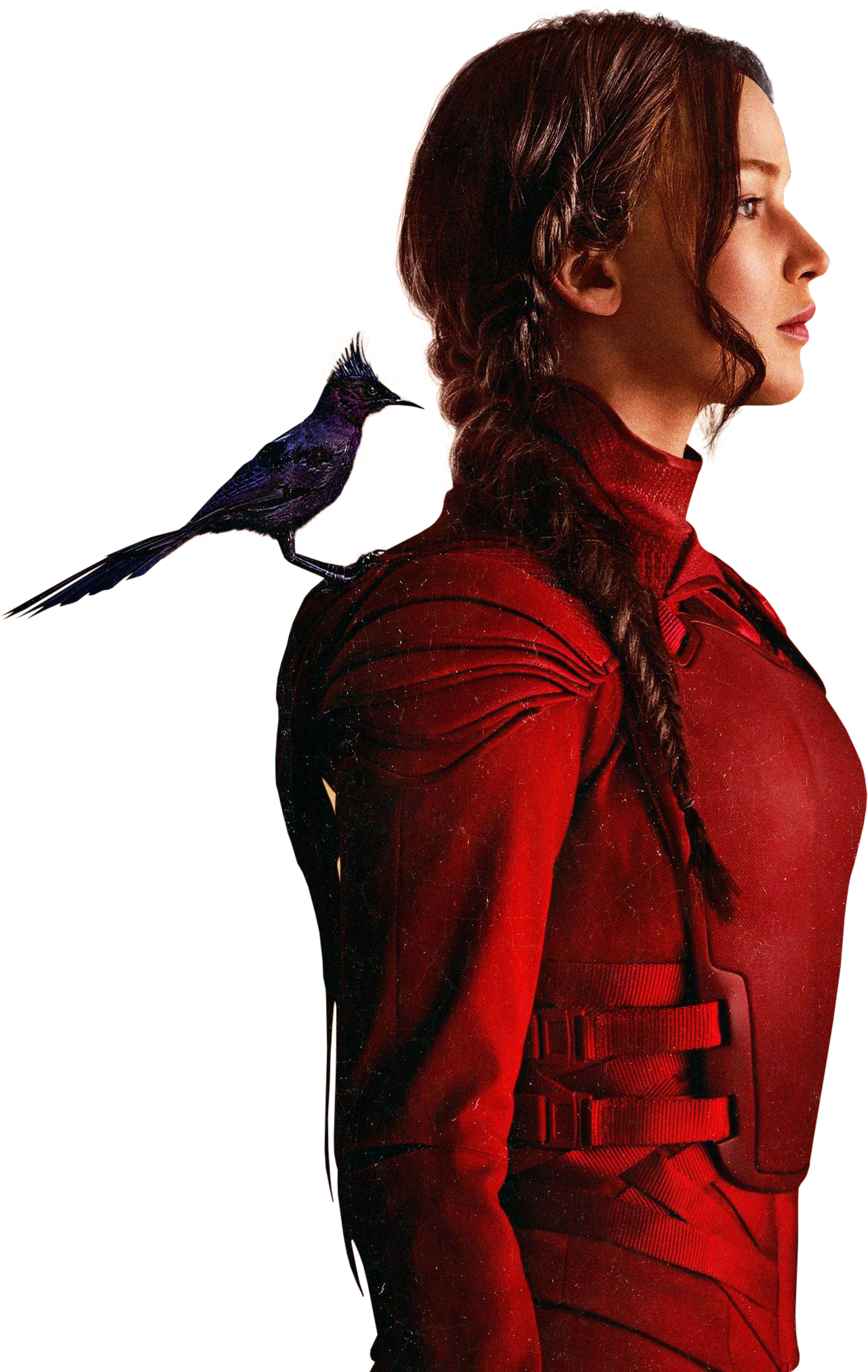 The Hunger Games Free PNG Image 