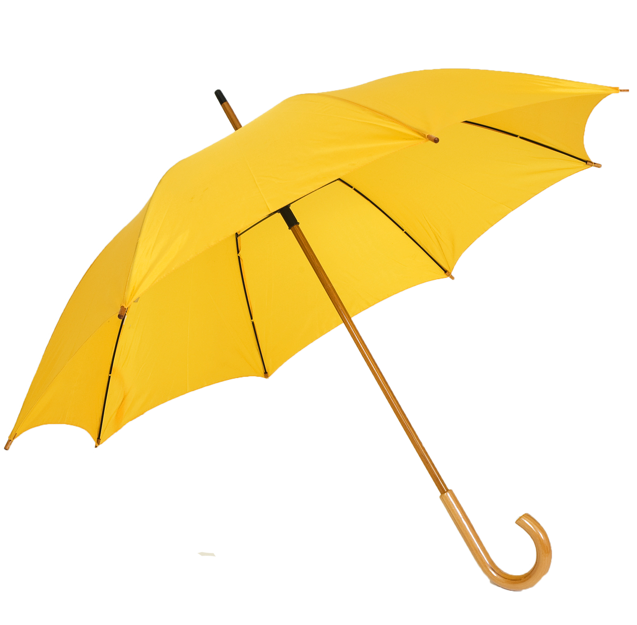 Umbrella PNG 