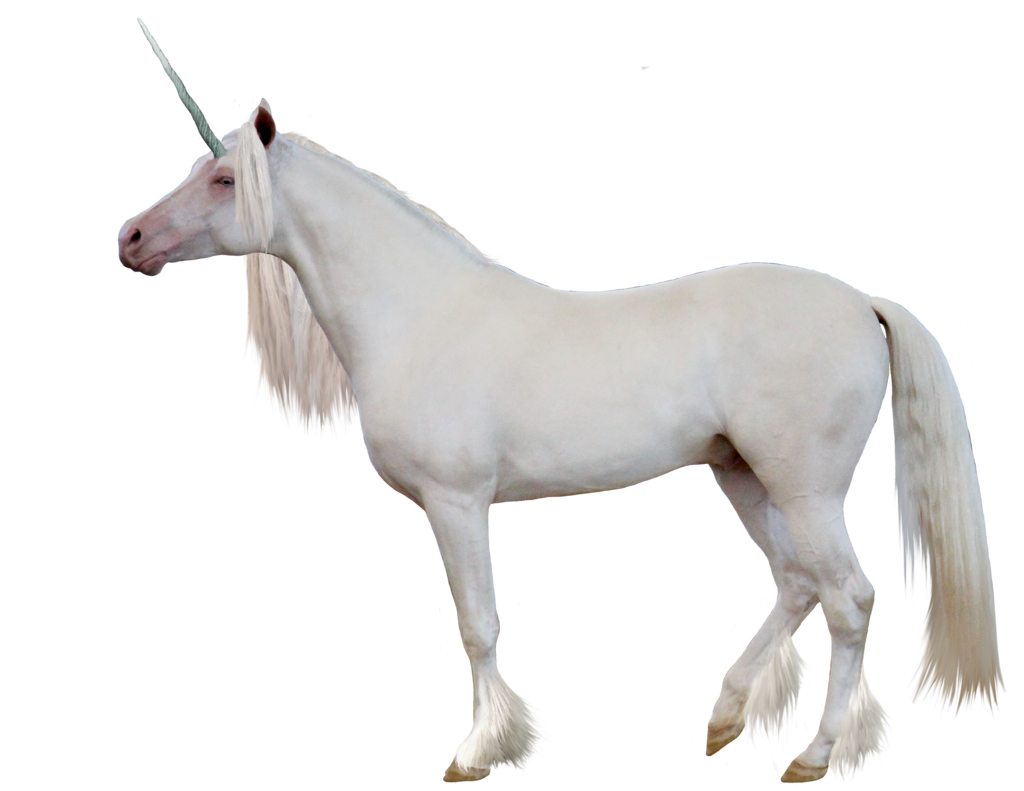 Unicorn PNG Image 
