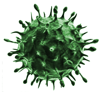 Virus PNG Clipart 