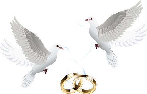 wedding clipart png format - photo #9