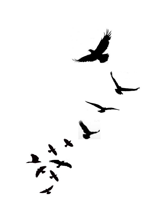 drawings of small flying birds