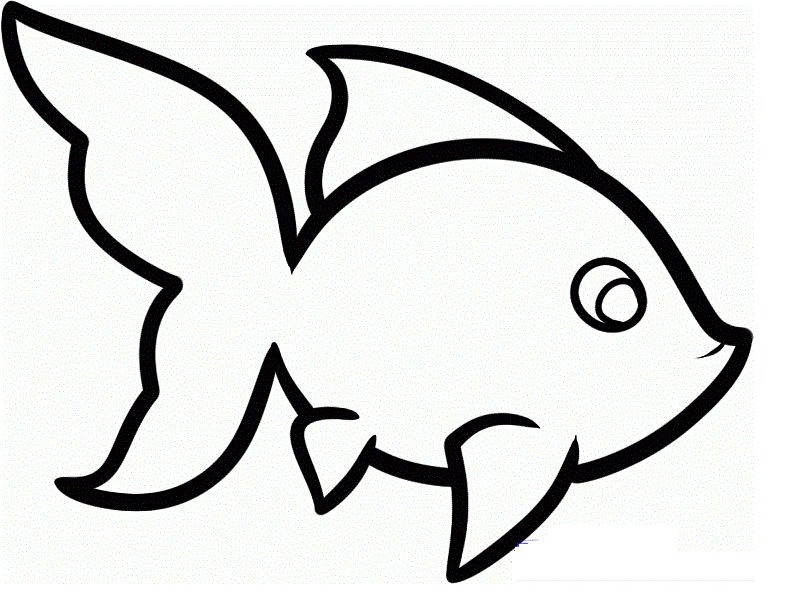 Free Fish Drawing Pictures, Download Free Fish Drawing Pictures png