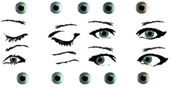 Download Female eye stock free vector Free