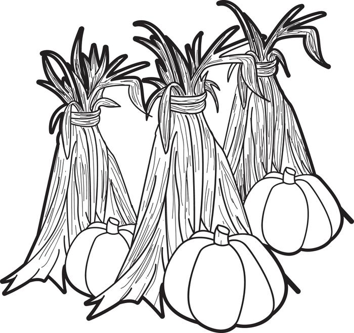 Corn Stalks Coloring Pages Crokky Coloring Pages