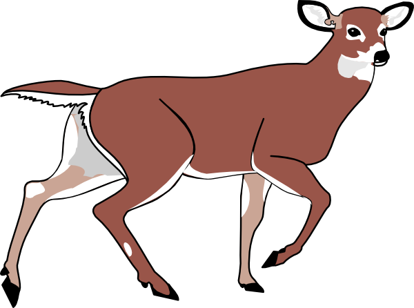 free clipart baby deer - photo #50