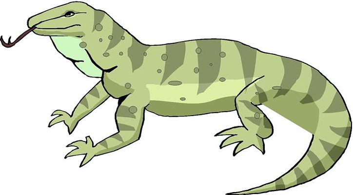 Free Lizard Images, Download Free Lizard Images png images, Free