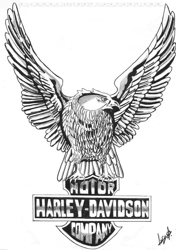 Harley Davidson Eagle Drawing - Clipart library