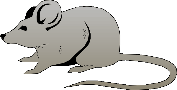 Mouse clipart | Coloring Pages To Print