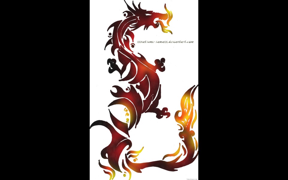 Fire And Flame Tattoos For Men Free Download Tattoo 654 Picture #