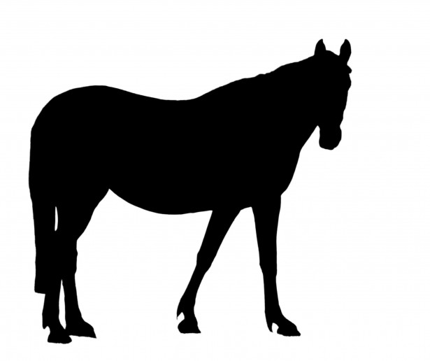 Black Horse Silhouette Clipart Free Stock Photo - Public Domain 
