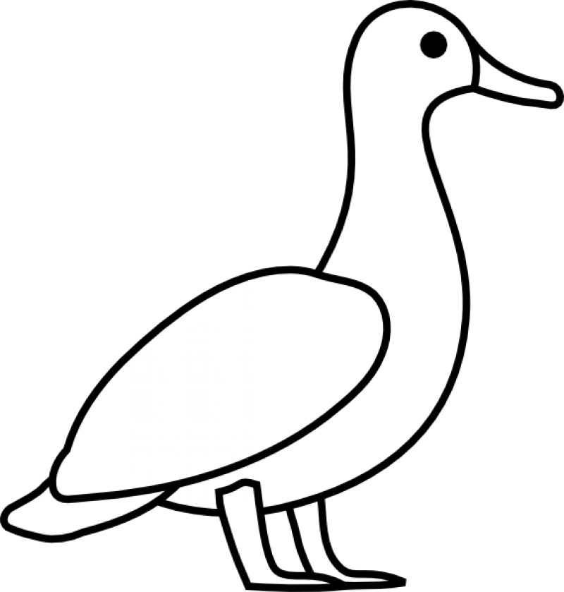 Outline Of A Duck - HD Printable Coloring Pages