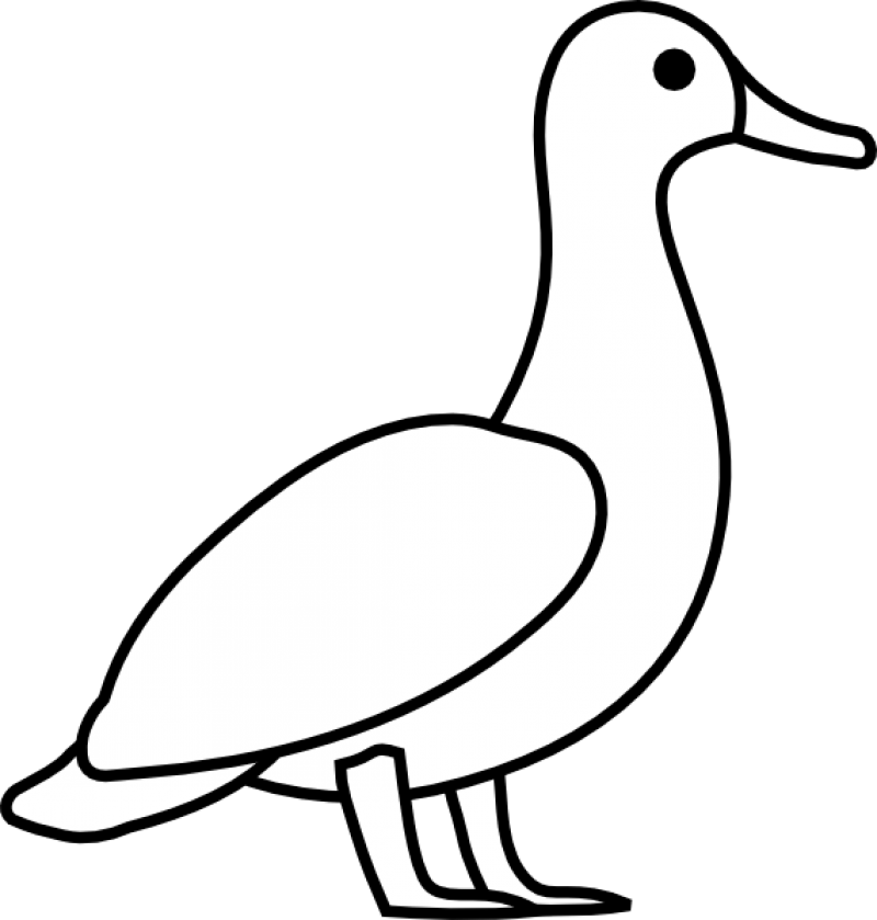 Free Outline Of A Duck Download Free Outline Of A Duck Png Images