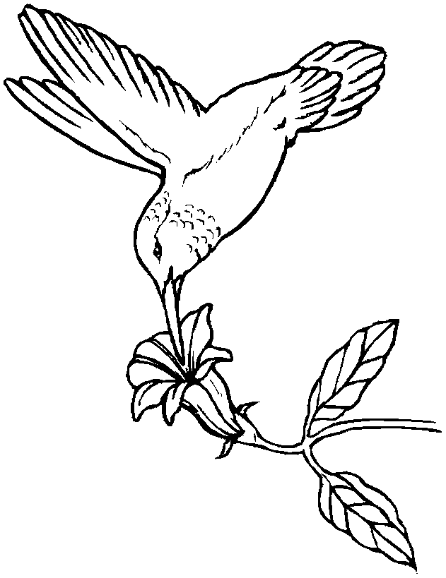 Pin Coloring Page Starfish To Color Online Coloringcrewcom on 