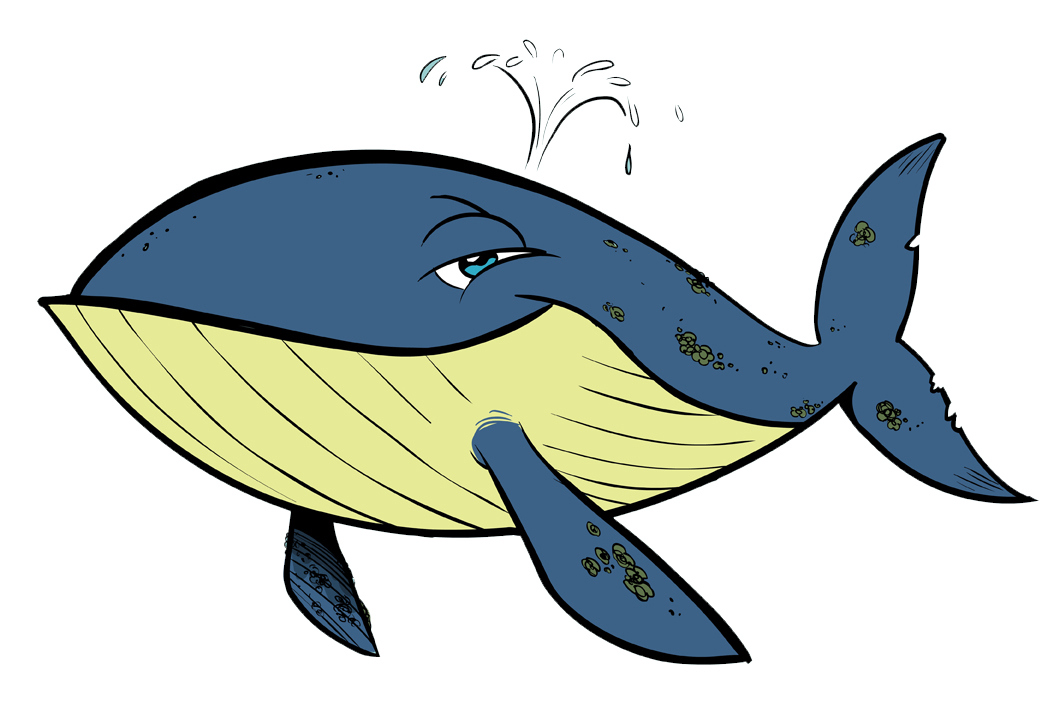 free cartoon whale clip art - photo #36
