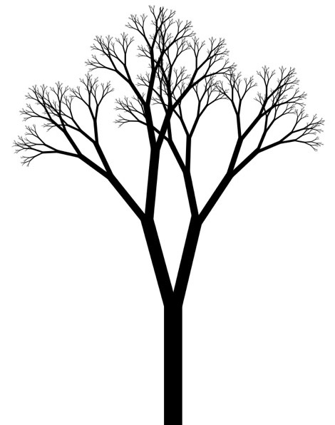 Simple Black And White Tree Drawing - Gallery