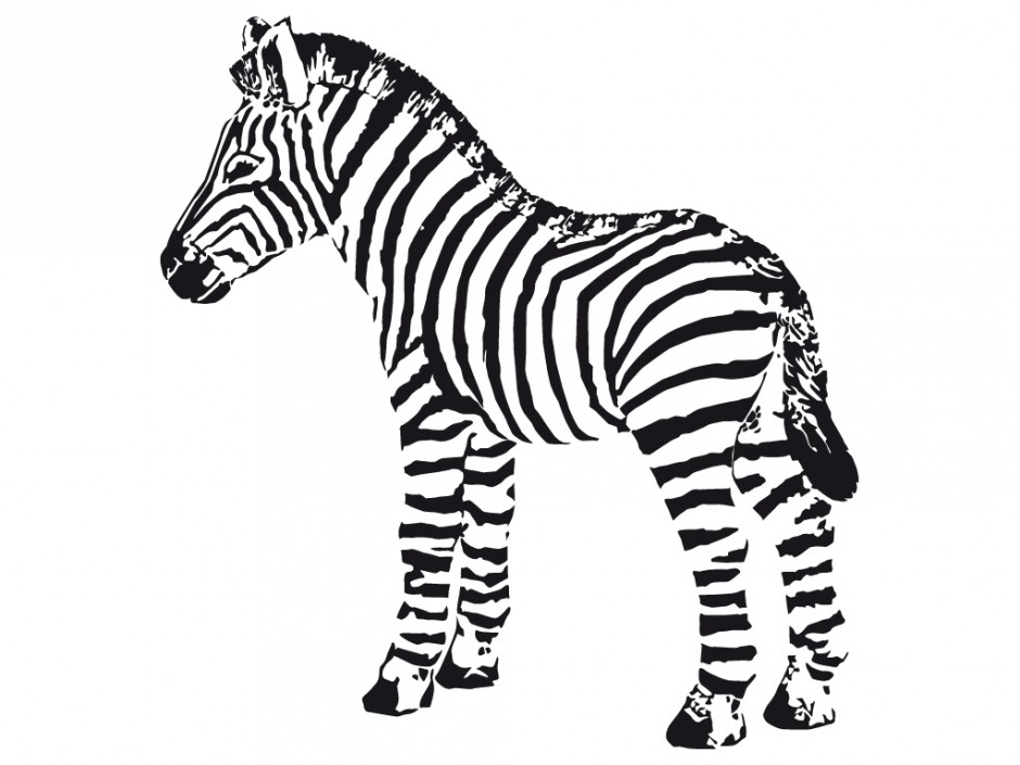 baby zebra clipart free - photo #40