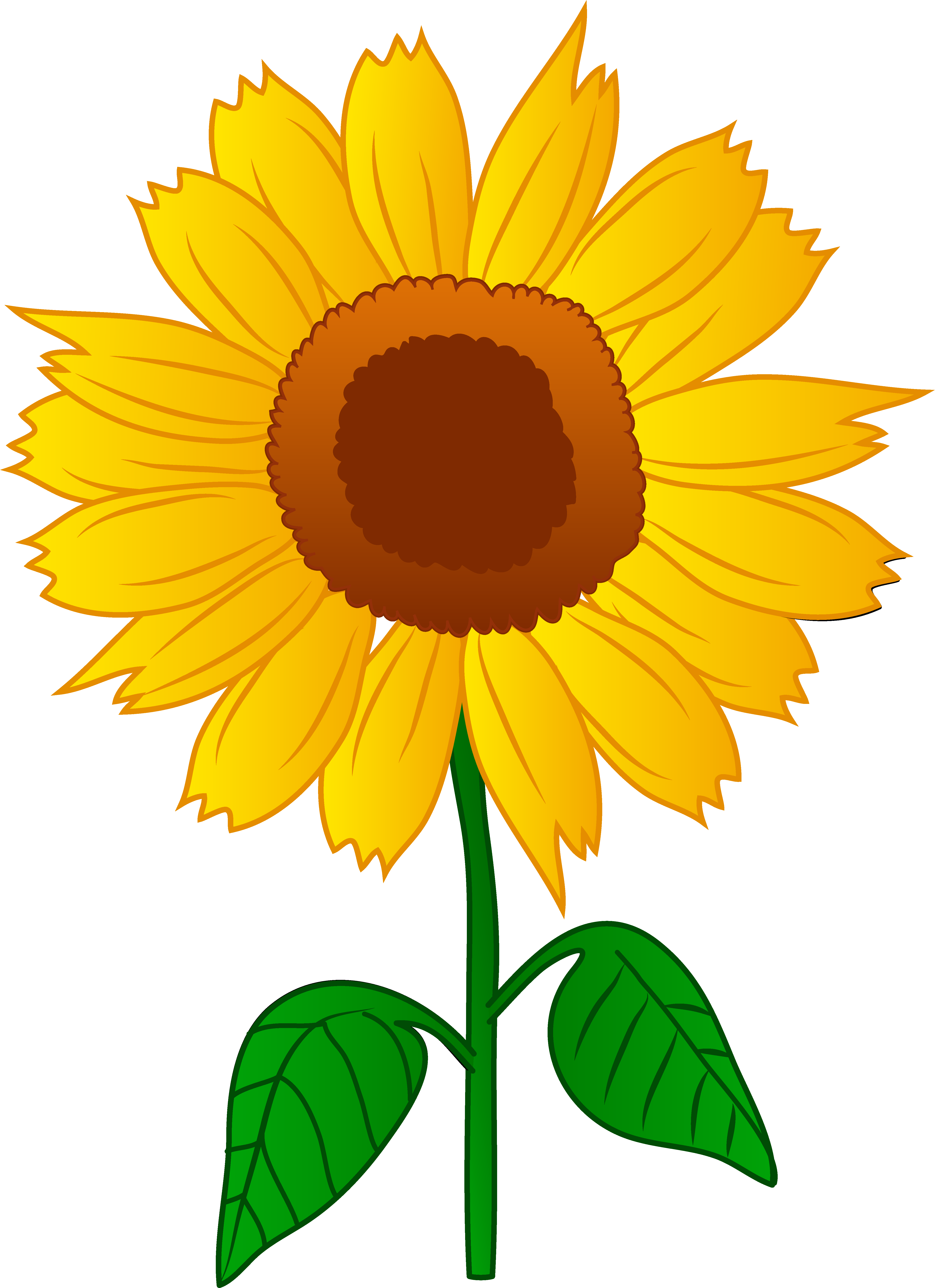 Cartoon Picture Of Sunf Flower - Clipart library