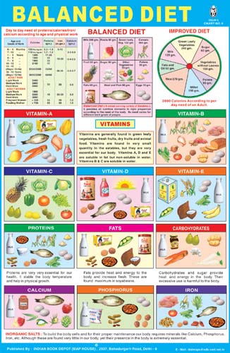 Balanced Diet Chart For School Project