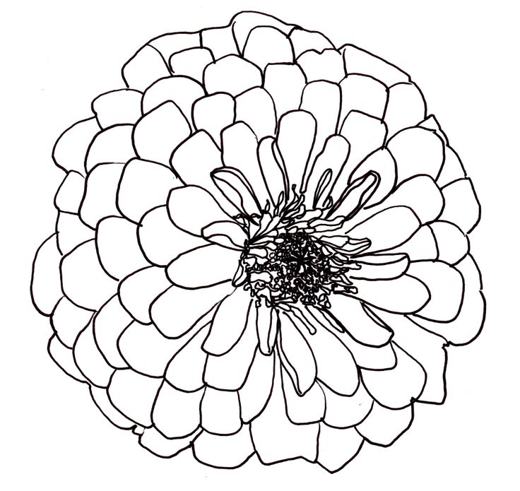 Free Flowers Line Drawing, Download Free Clip Art, Free Clip Art on