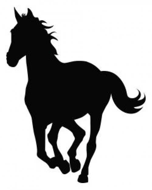 running horse Photo | Free Download