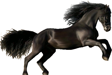 transparent horse animated gif - Clip Art Library