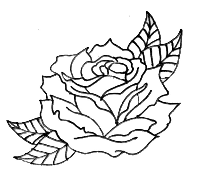 traditional rose drawing outline