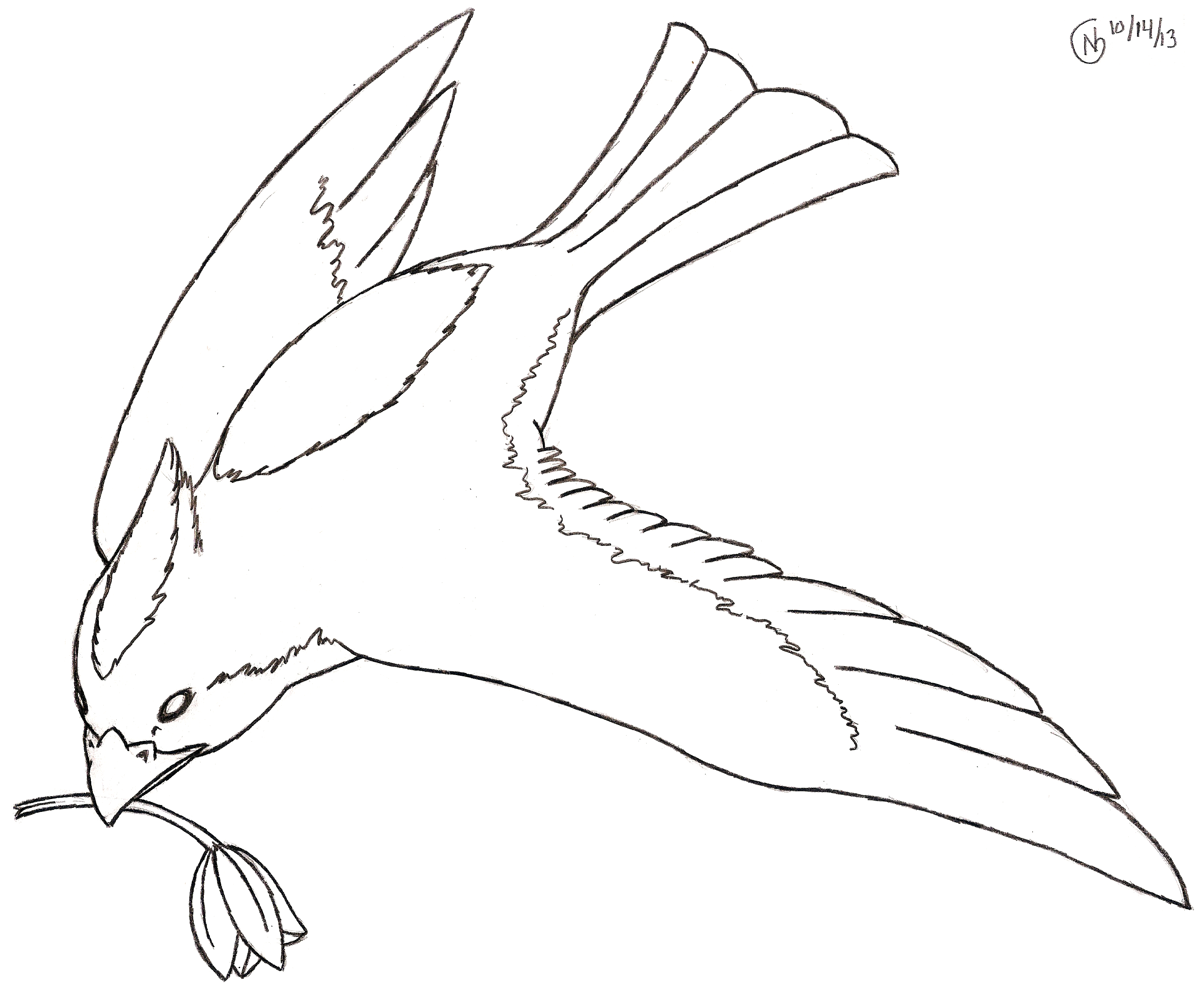 Free Flying Bird Drawing, Download Free Flying Bird Drawing png images