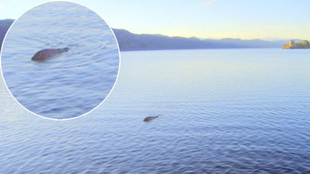 Scottish Sailor Claims To Have Best Picture Yet Of Loch Ness 