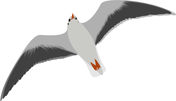 Sea Gull Seagull clip art - vector clip art online, royalty free 