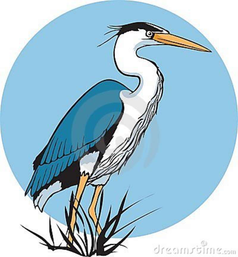 Heron | Clipart library - Free Clipart Images