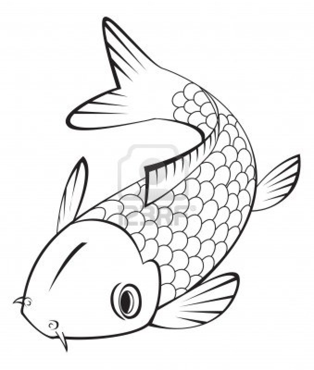Images For  Koi Fish Line Art