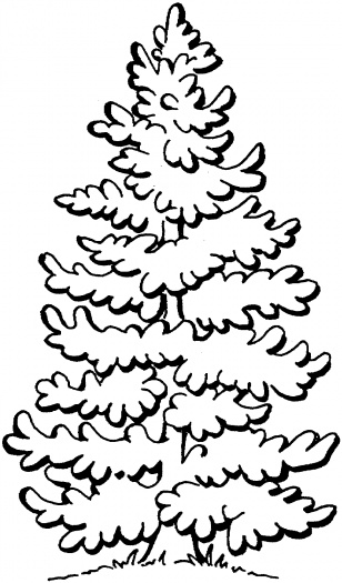 Tree Outline Printable - Clipart library