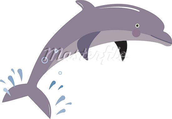 Draw Dolphin Cartoon images