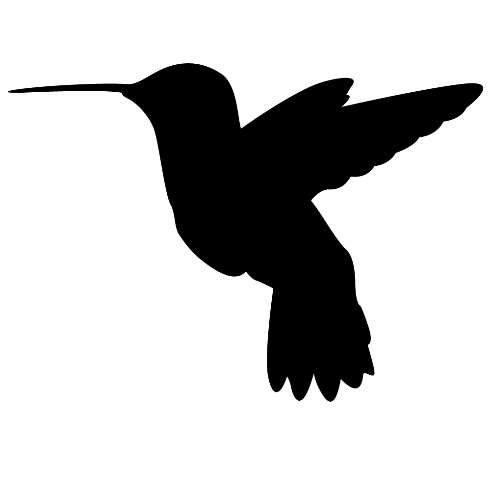 Hummingbird Clipart 