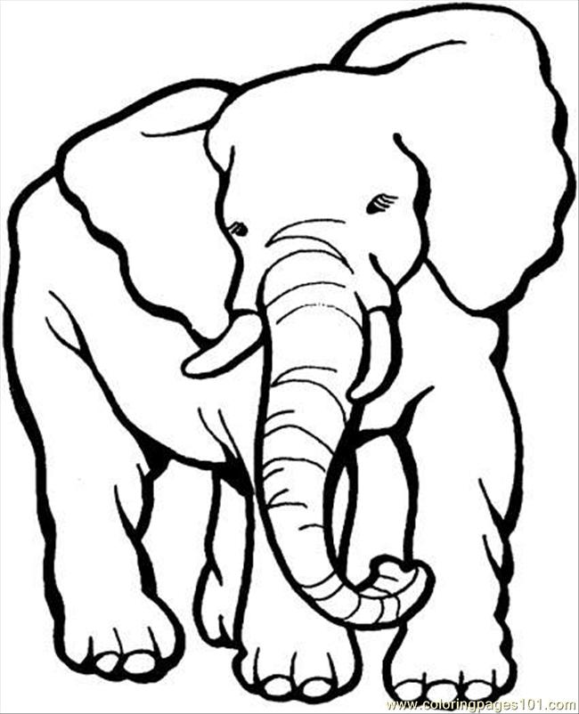 elephant face coloring page