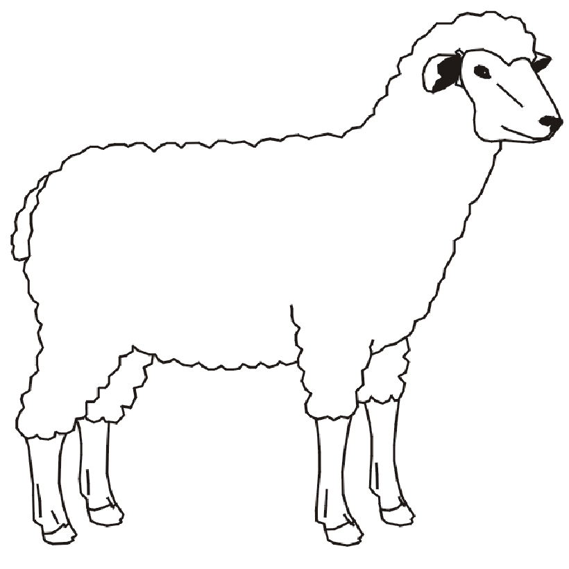 Sheep Coloring Page | Coloring pages wallpaper