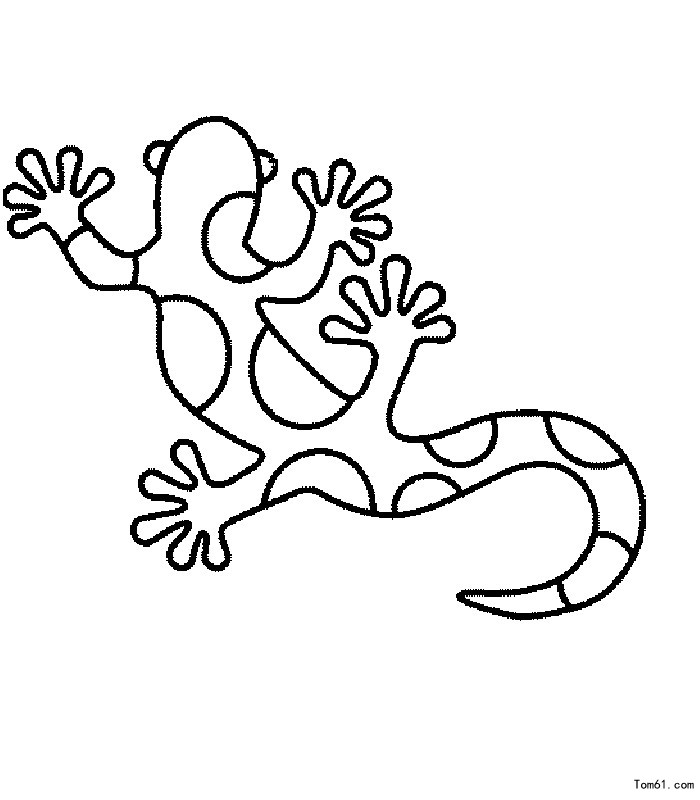 How to draw lizards - Stick figure-Children