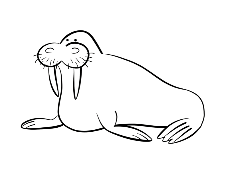 Walrus Coloring Pages | Coloring Pages