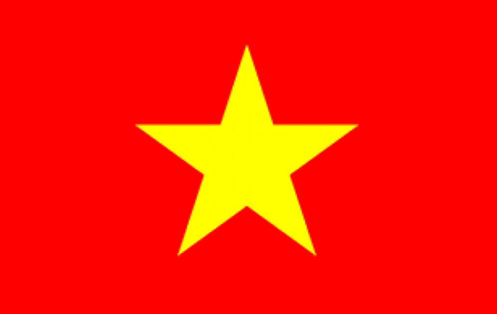 VIETNAM - HAND WAVING FLAG MEDIUM