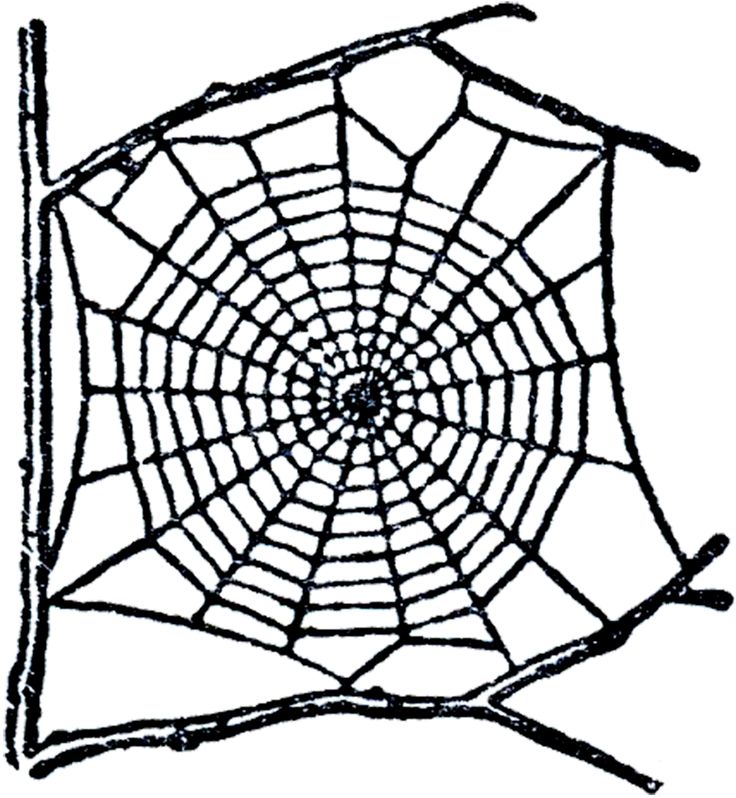Free Spider Web Clip Art